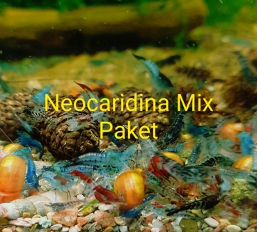 Neocaridina 20er Mix Paket